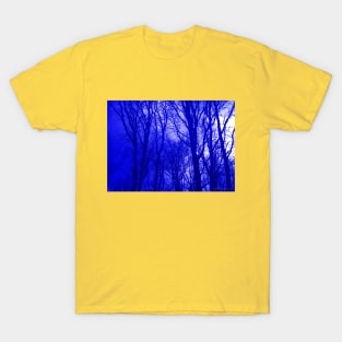 VELVET WOOD: Blue T-Shirt